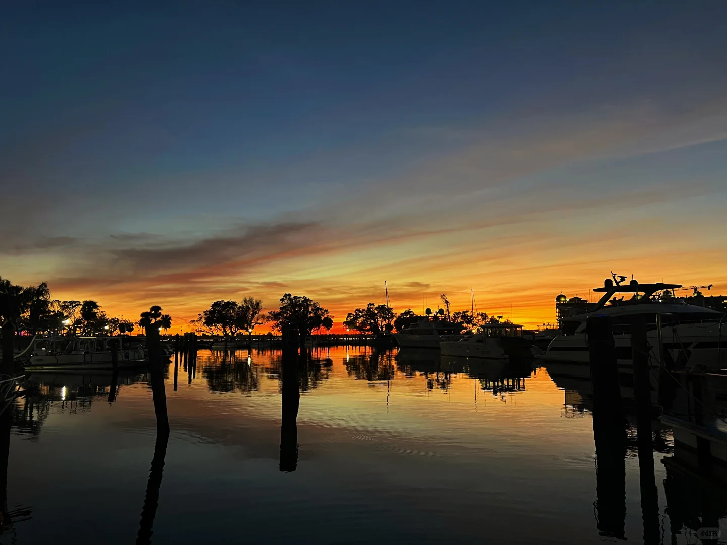 Returning to Sarasota Twice｜Orange-Blue Twilight, Where Sky Meets Sea