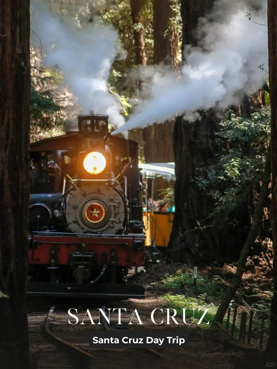 California Santa Cruz Travel Guide: Choo-Choo Through the Redwood Forest
