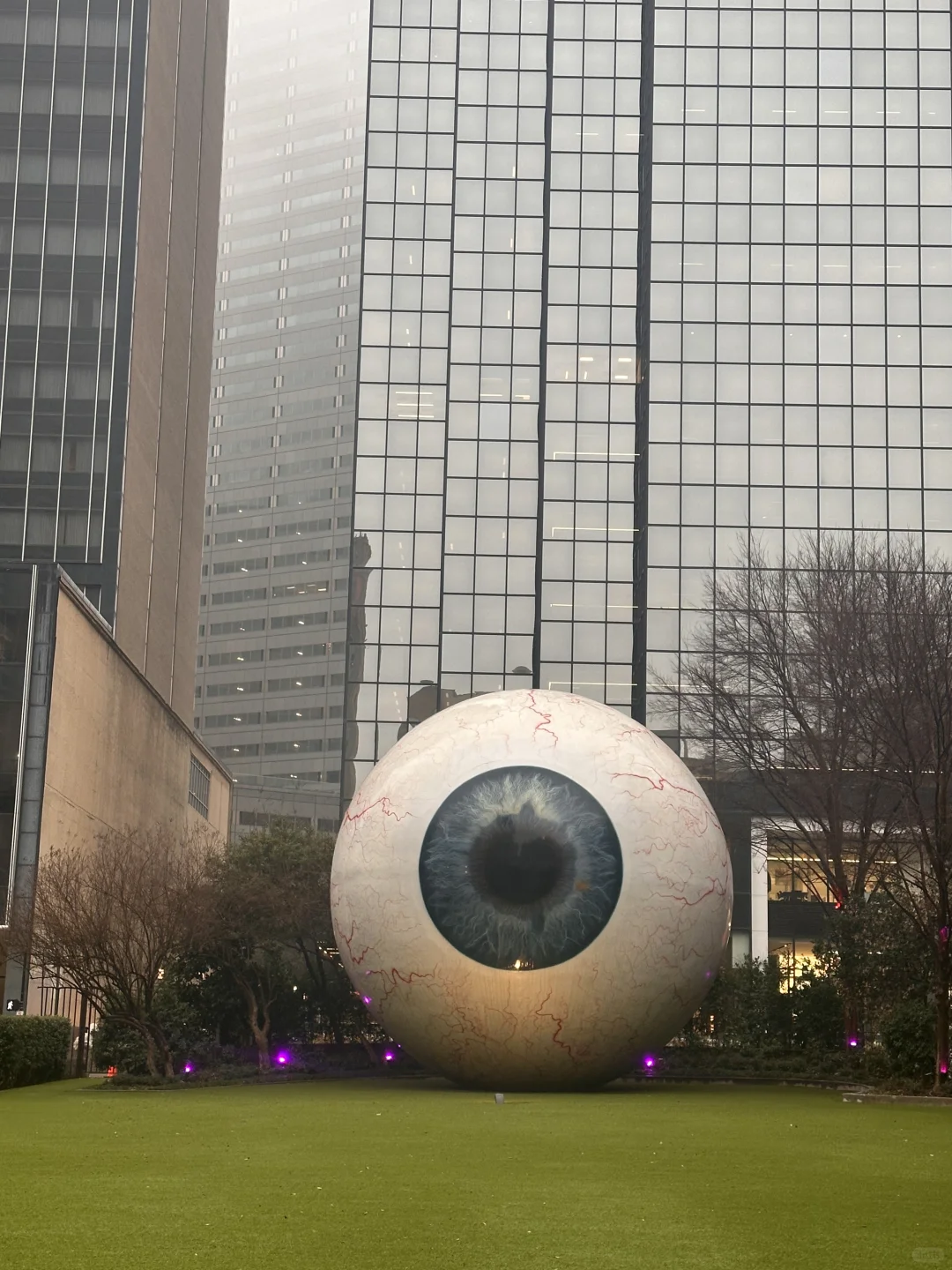 "Only One Day in Dallas, Texas – What to Do (Part 1)"