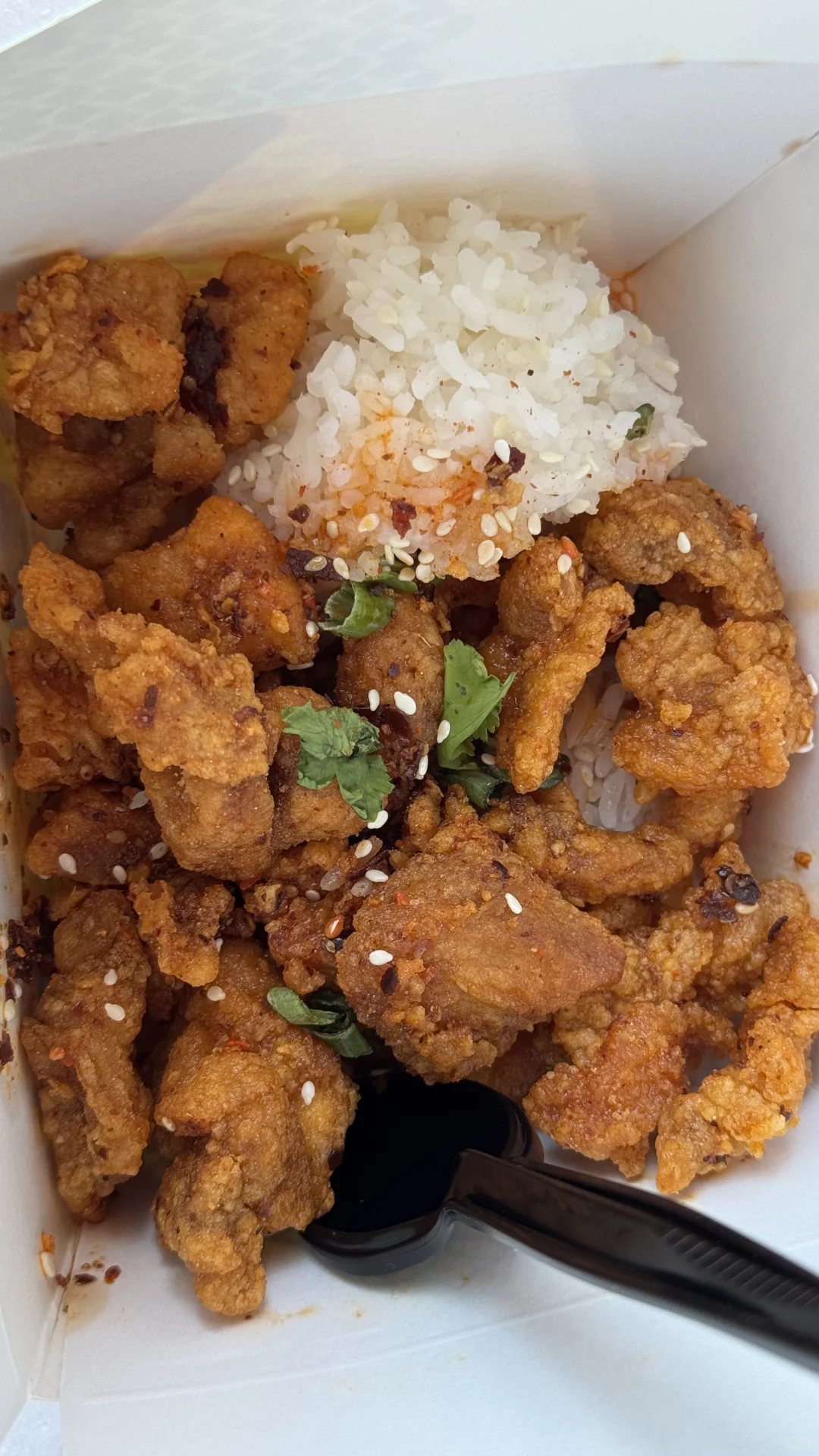 Orlando Universal Studios' Spicy Chicken Challenge｜I Underestimated You