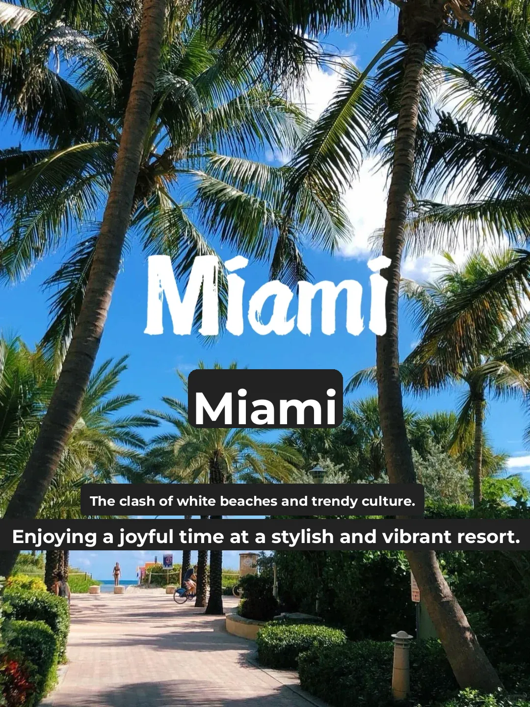 Everything You Need to Know About Miami ❗️