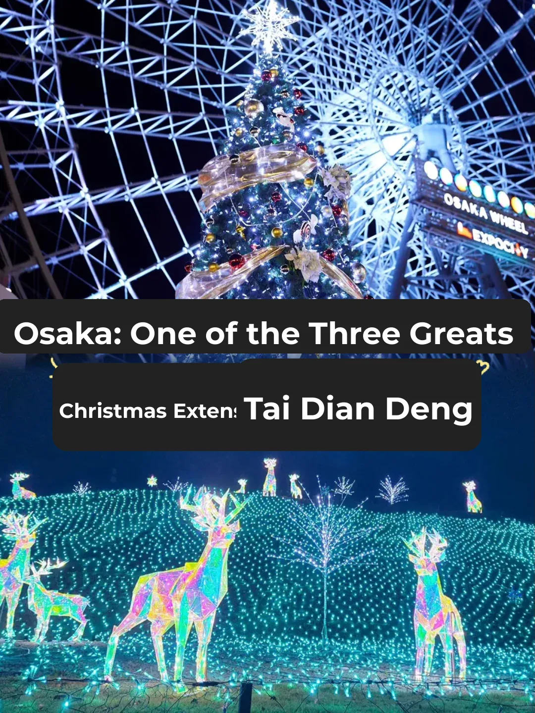 Osaka Christmas Lights ✨ Top 7 Must-Visit Stunning Spots 🌈