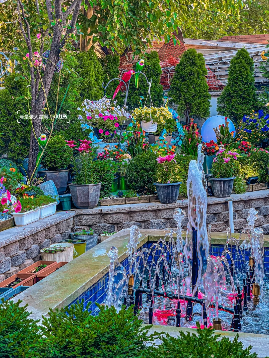 New York 🔥 Pretending to be in Chiang Mai 🇹🇭 Stunning and Delicious Thai Restaurant