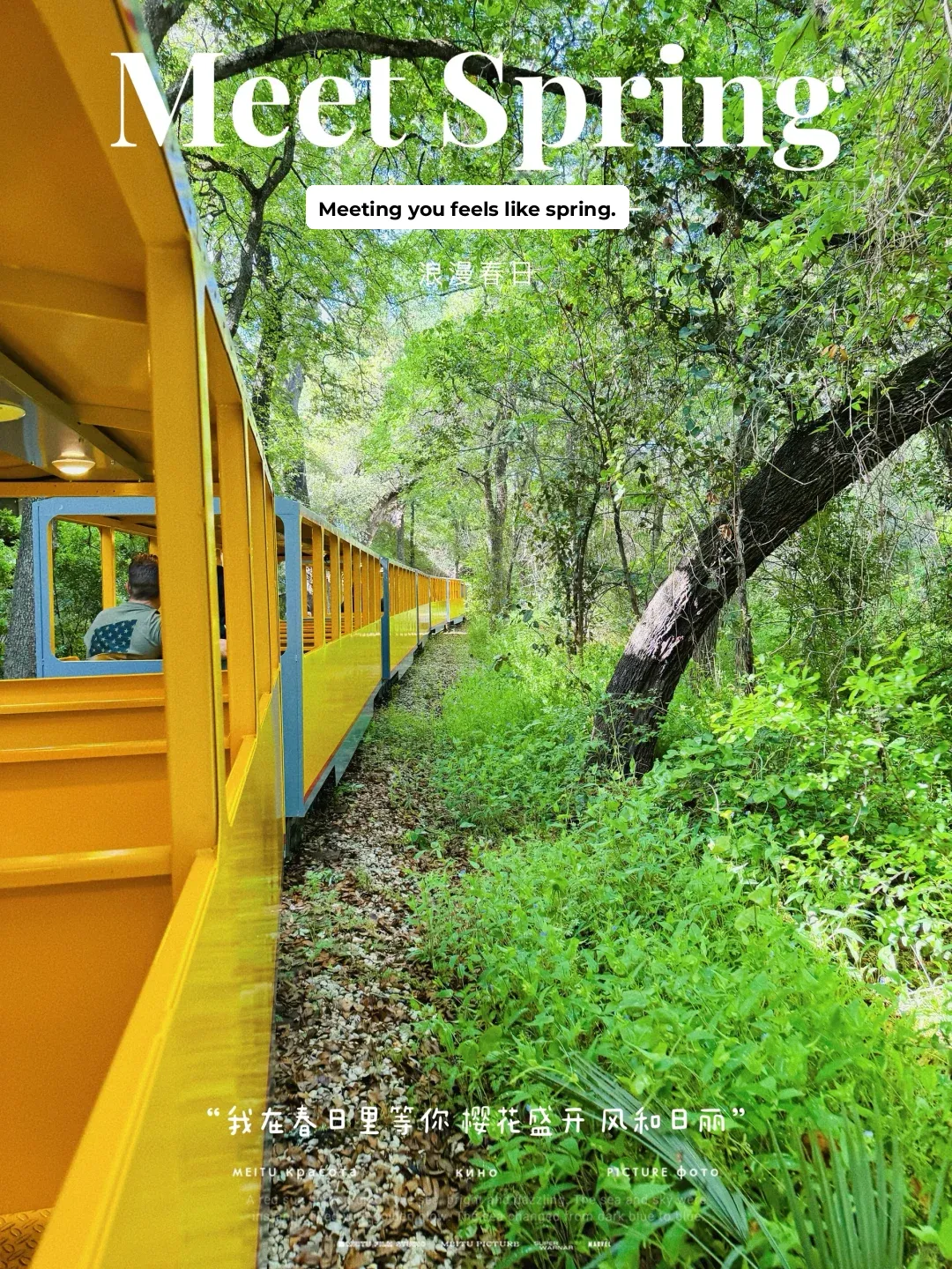 San Antonio: The Little Train to Springtime!