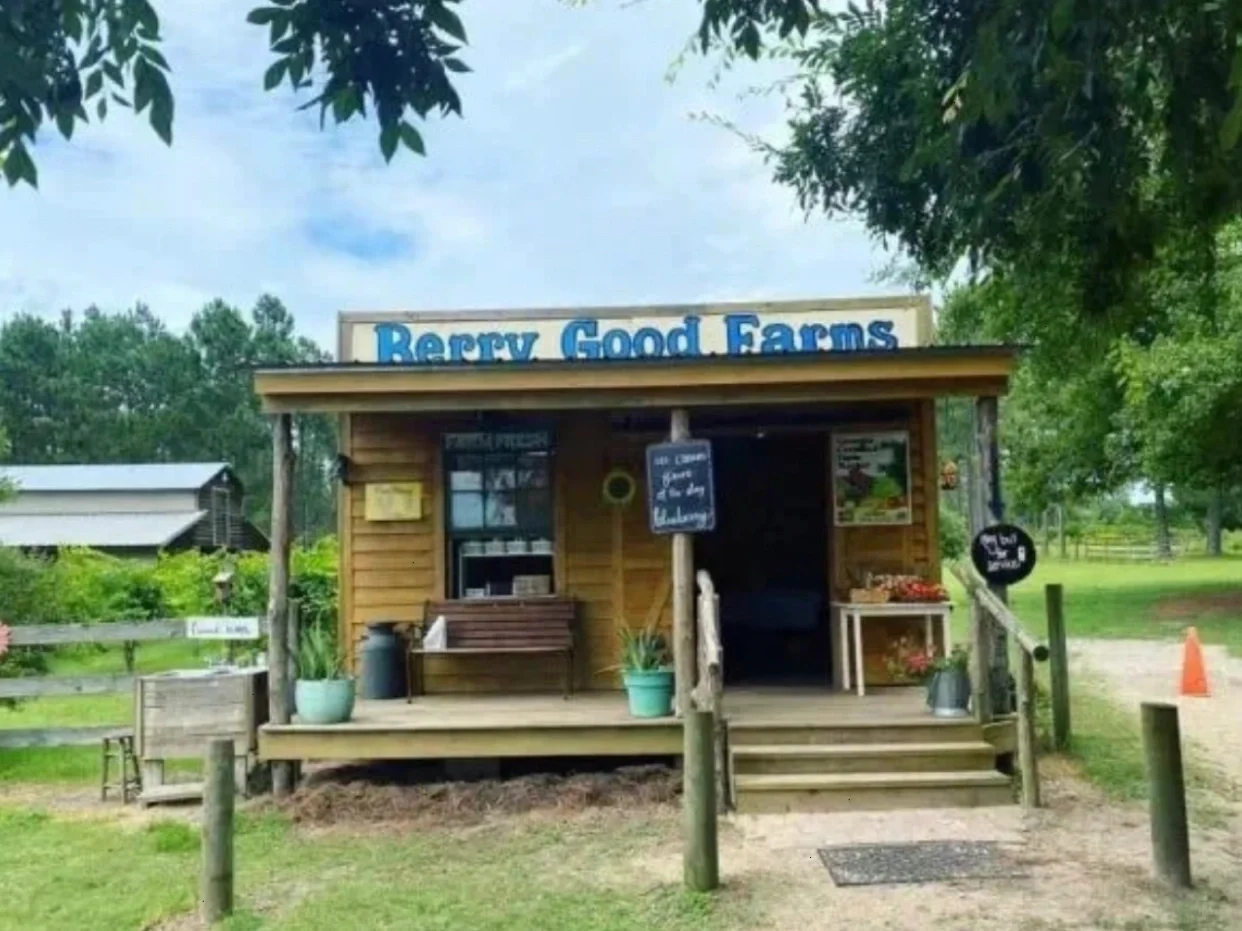 "Peach"fect Temptation! The Ultimate Peach-Picking Spots Around Atlanta 🍑