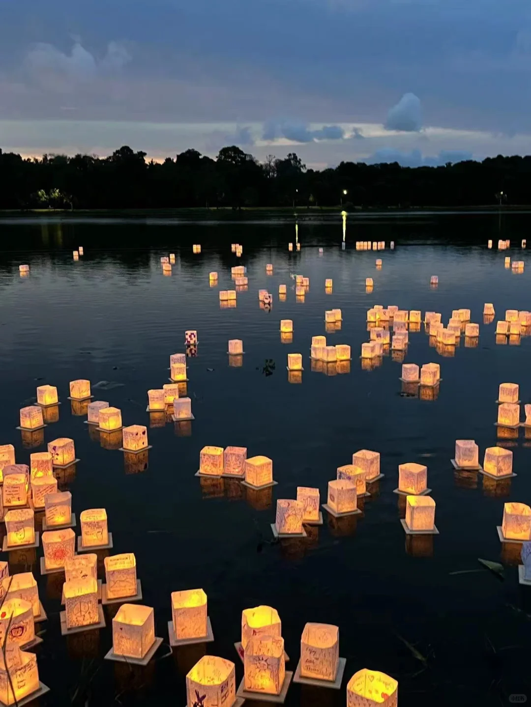 Savannah｜Romantic Water Lanterns 💕 Always There