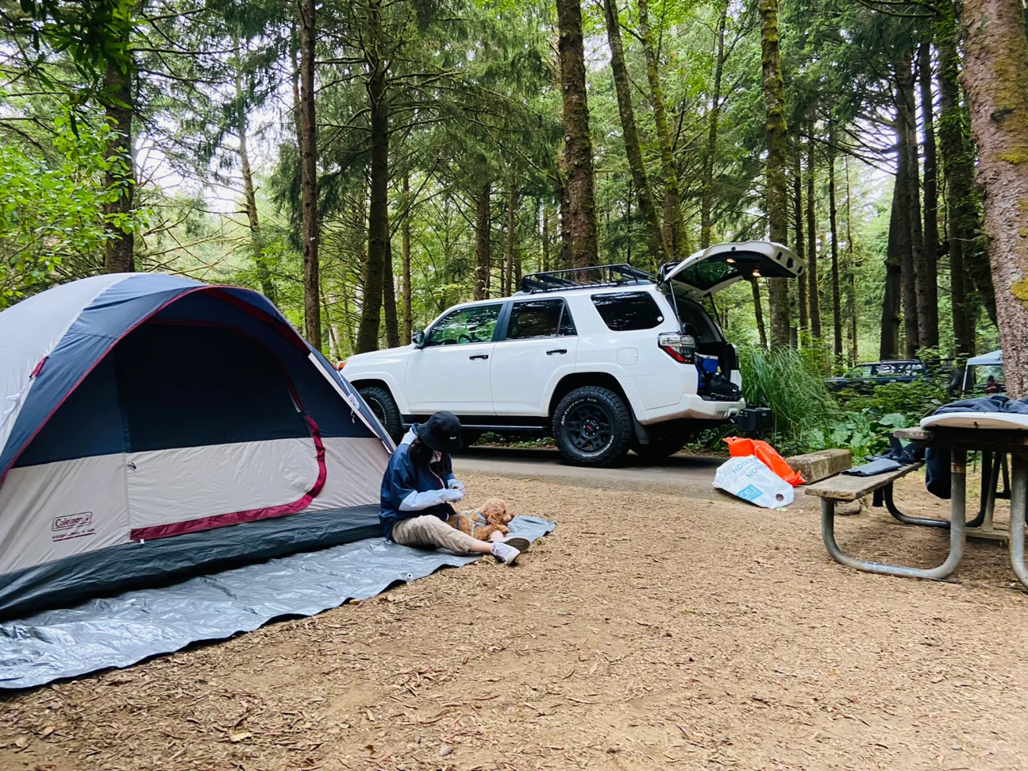 Camping and Surfing Adventures Around Portland 🏕️🏄‍♂️