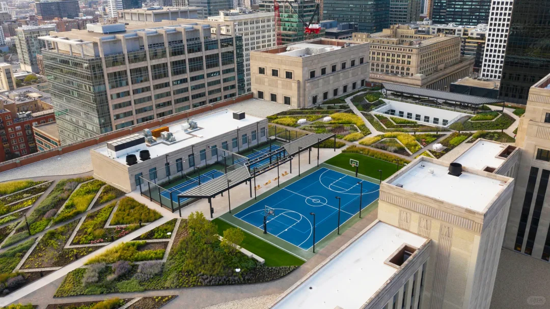Rooftop + Tennis Court: How to Design an Urban Rooftop Garden?