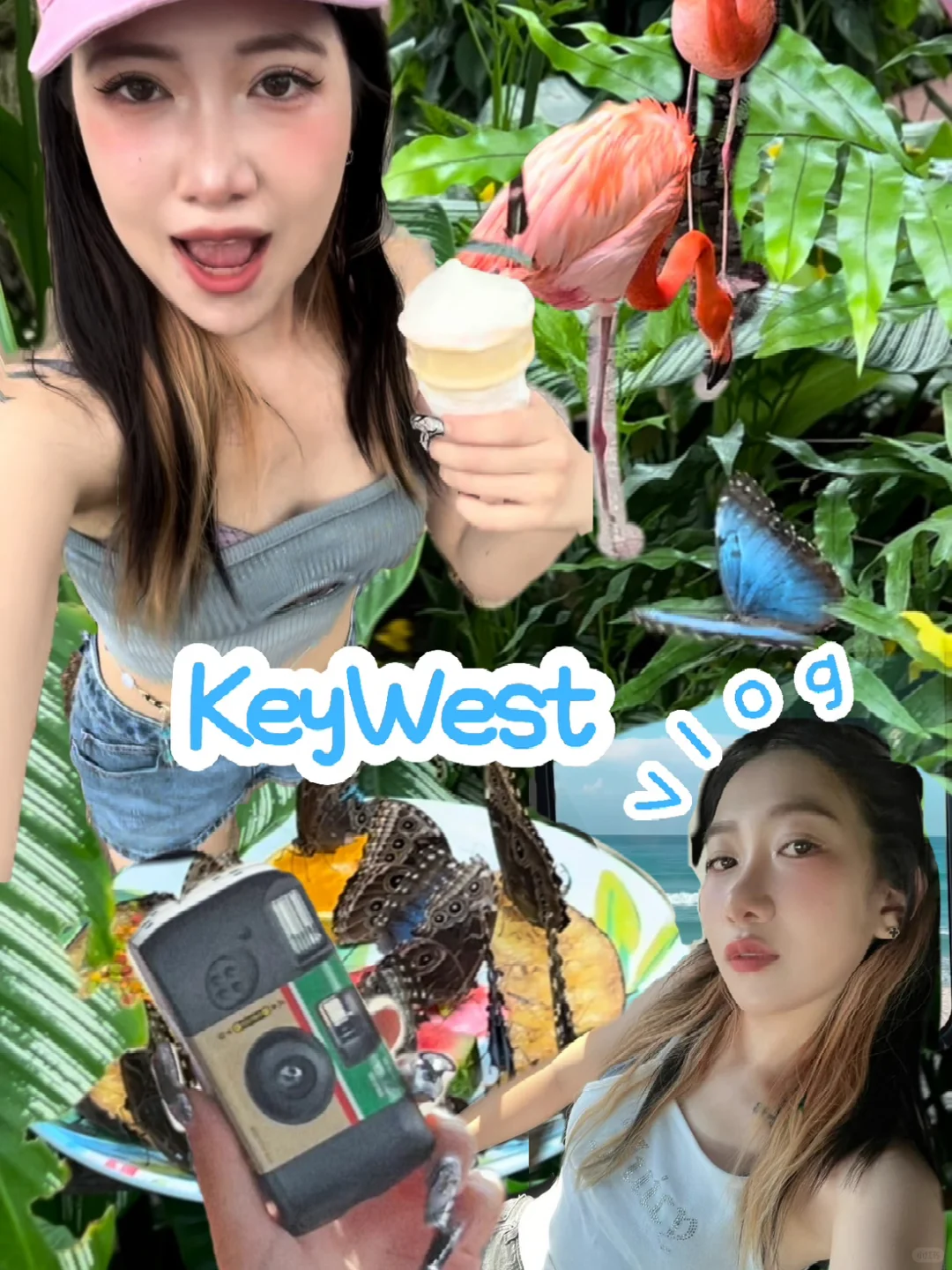 🦋🥥🍨🌅 Miami to Key West Road Trip Vlog via Route 1️⃣