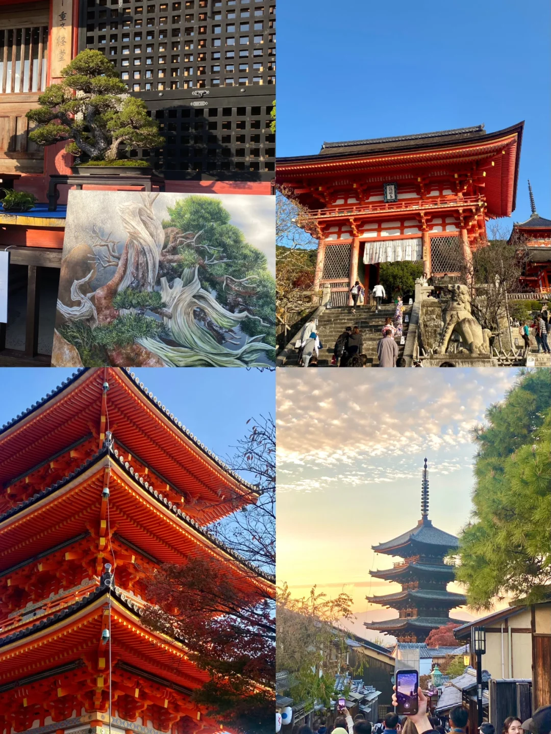 🇲🇾🇯🇵 Here We Go! Kyoto Highlights from Last Year's Osaka Trip