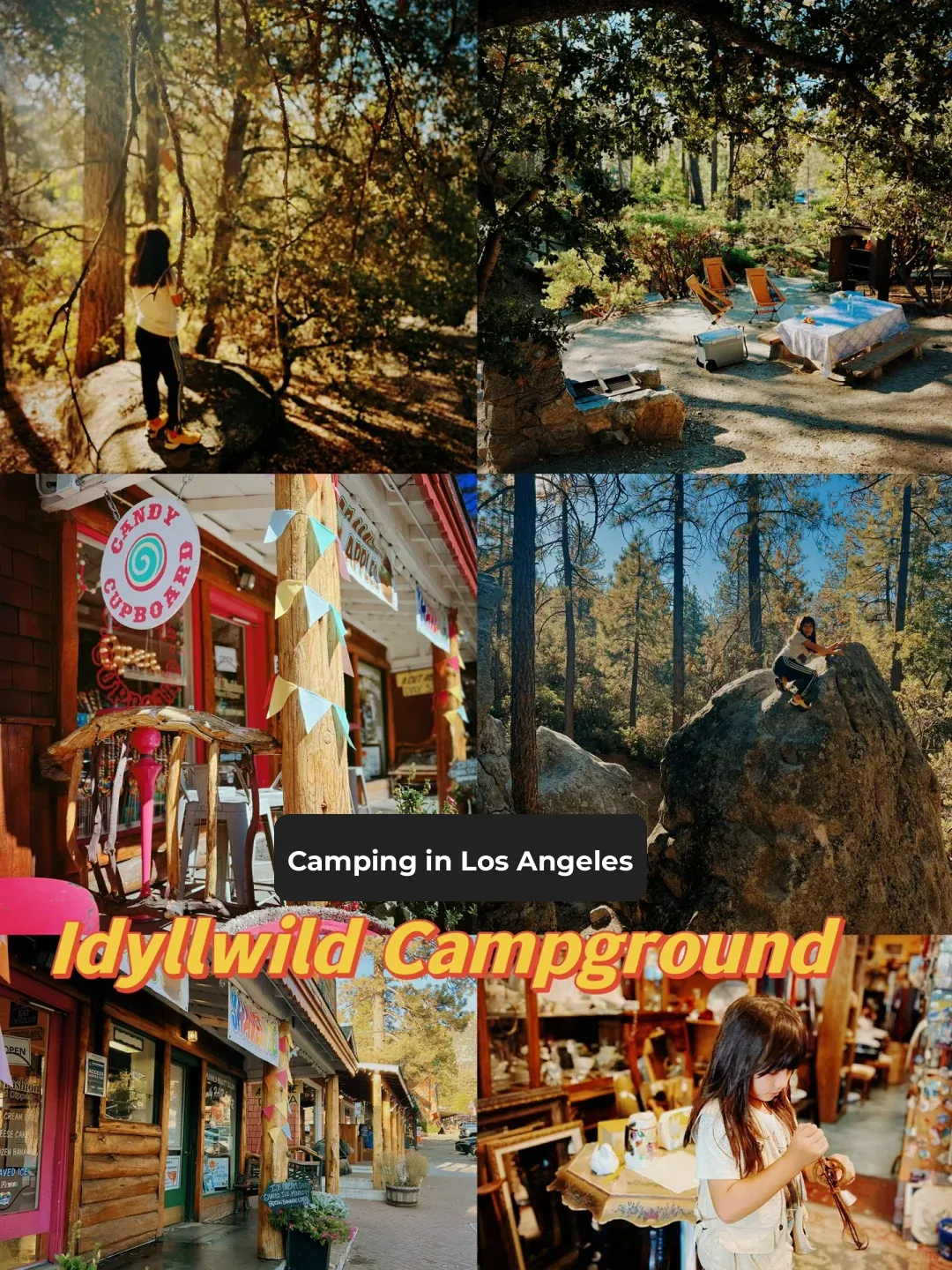 Top Camping Spot in LA: Idyllwild Campground
