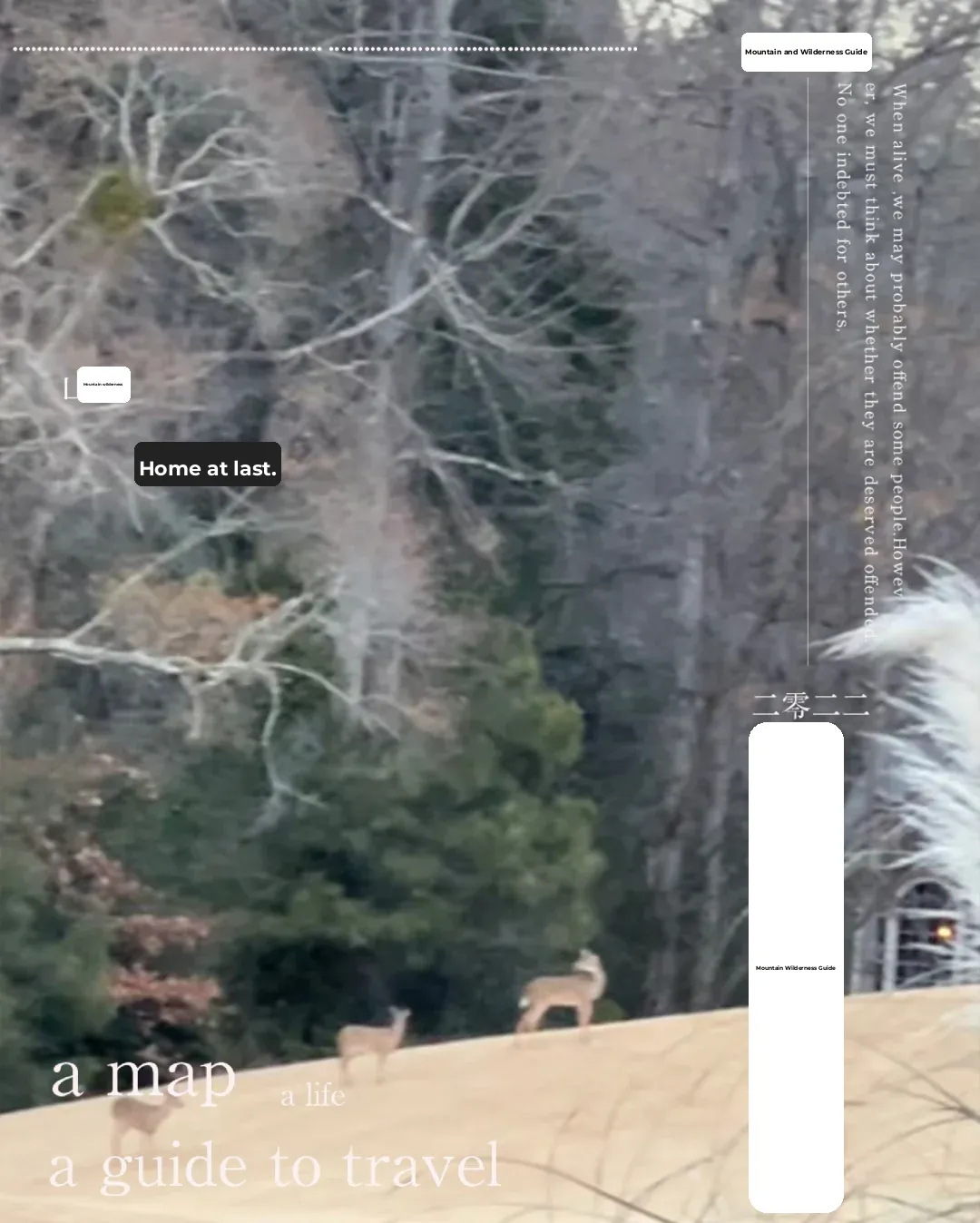 Life in the Little Forest of Atlanta