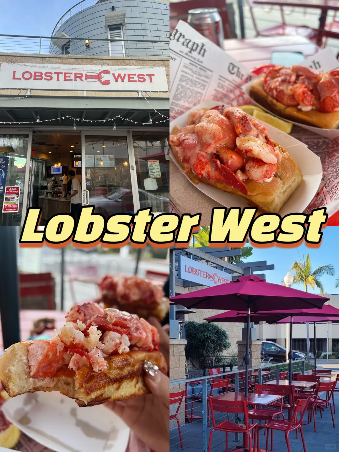 "Foodies in San Diego, get in here—time to copy these must-try spots!‼️"