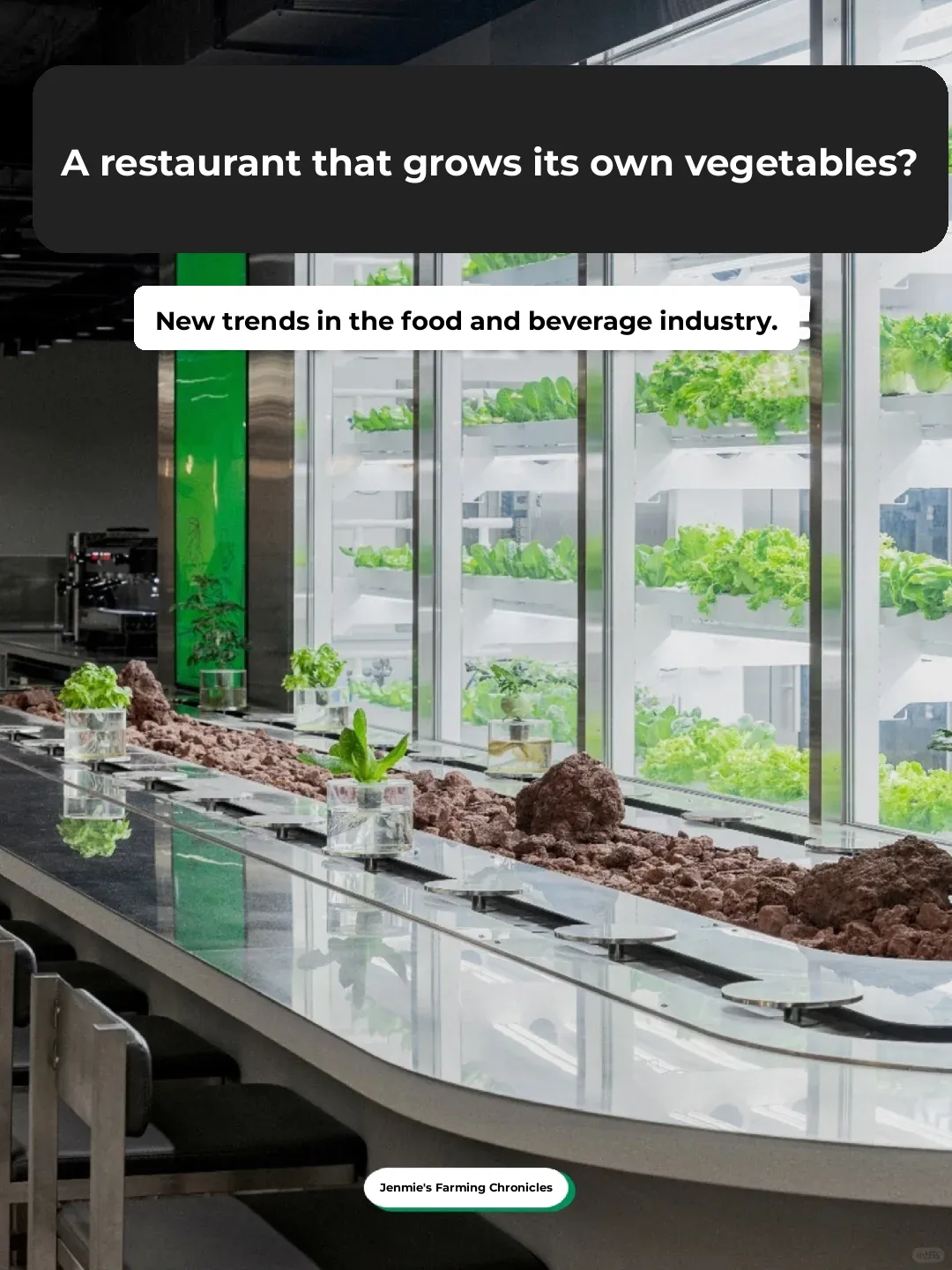 The Future of Dining? Can On-Site Vegetable Farming Win Over Customers?