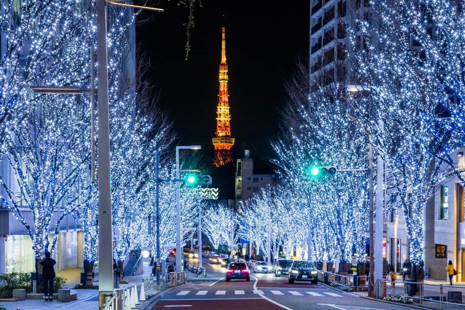 Tokyo Roppongi Hills Christmas Illuminations: Nov 6 - Dec 25