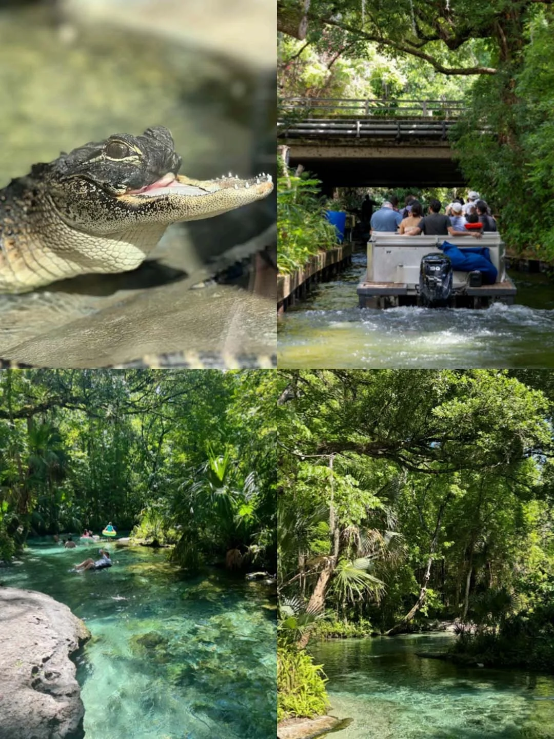 Florida Getaway 🚗 Experience the Unseen Scenery