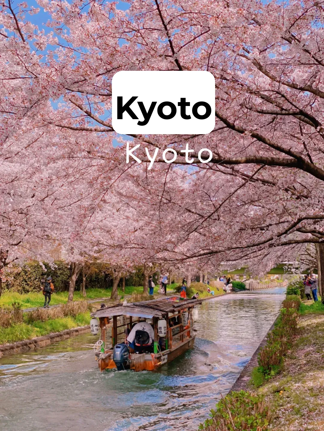 Kyoto Sakura Spots | 18 Must-Visit Places to Blow Up Your Instagram 📸 Part 2