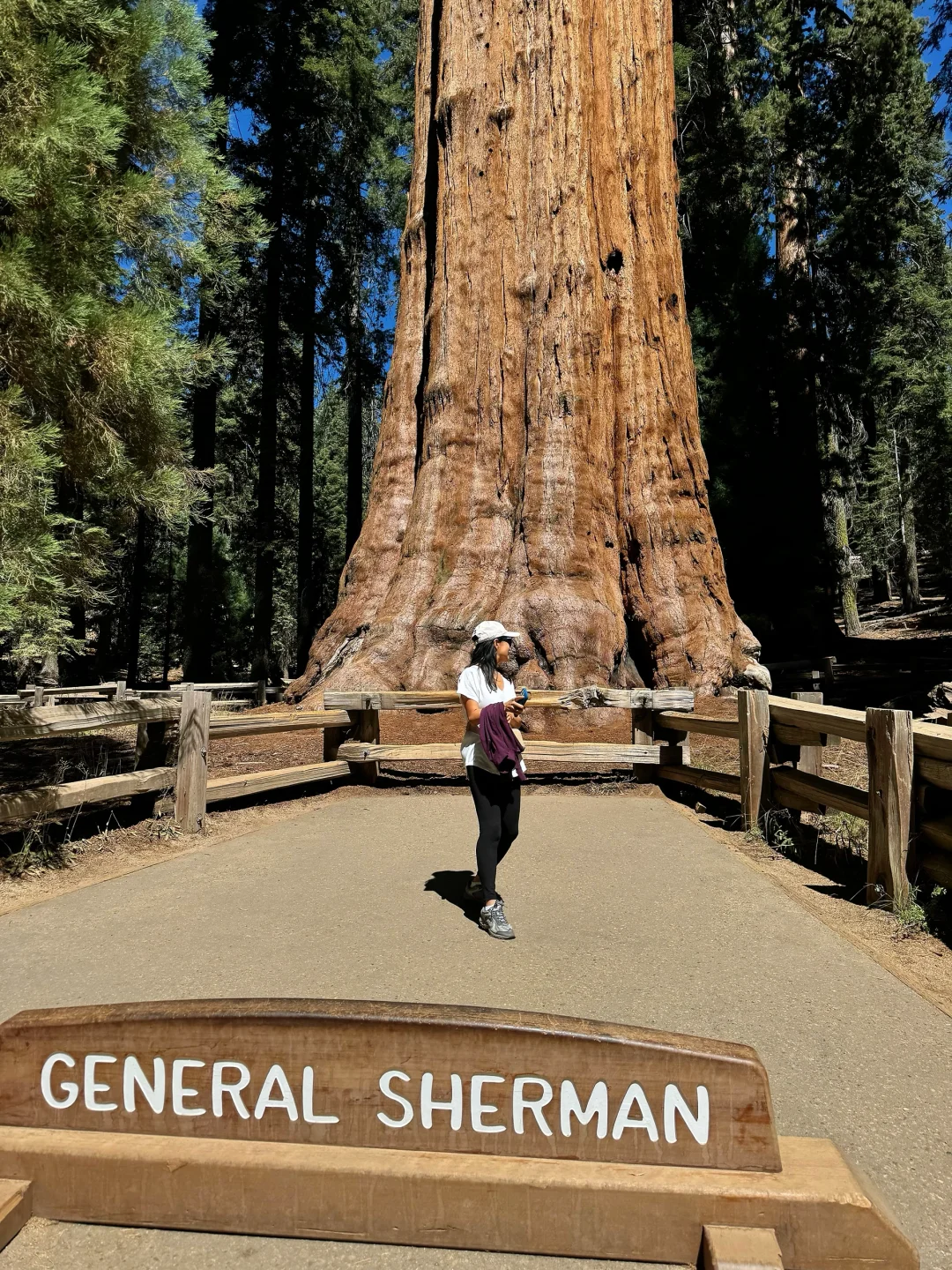 One-Day Trip to Sequoia National Park and Kings Canyon National Park