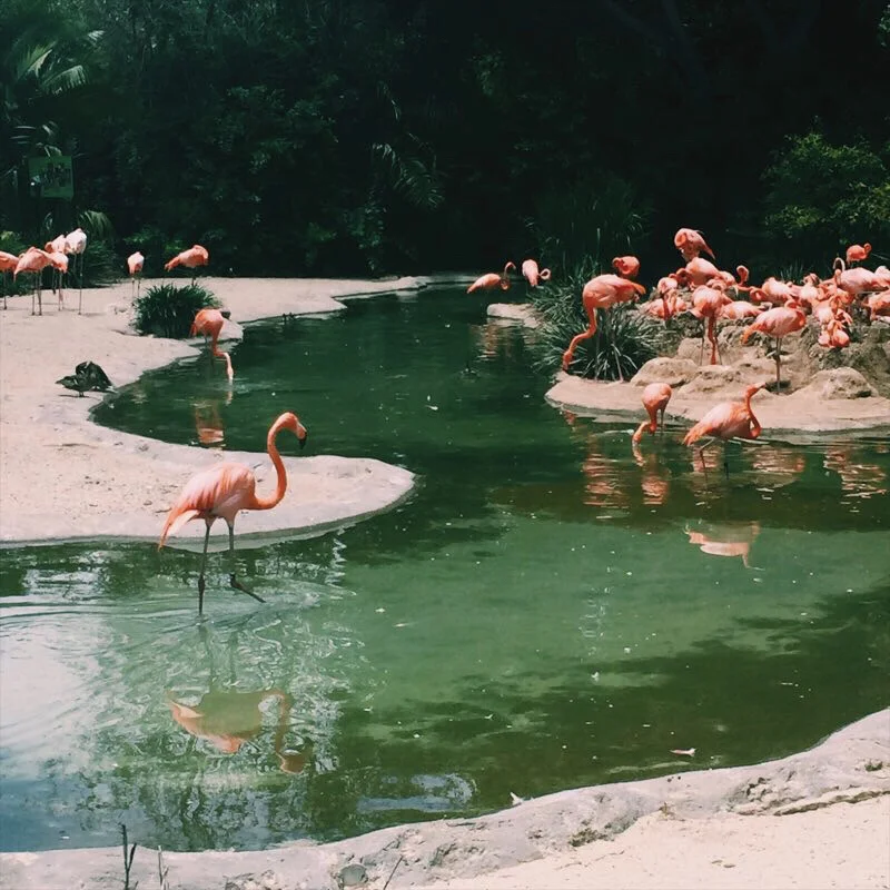 Wandering in San Diego on Rampage Mode