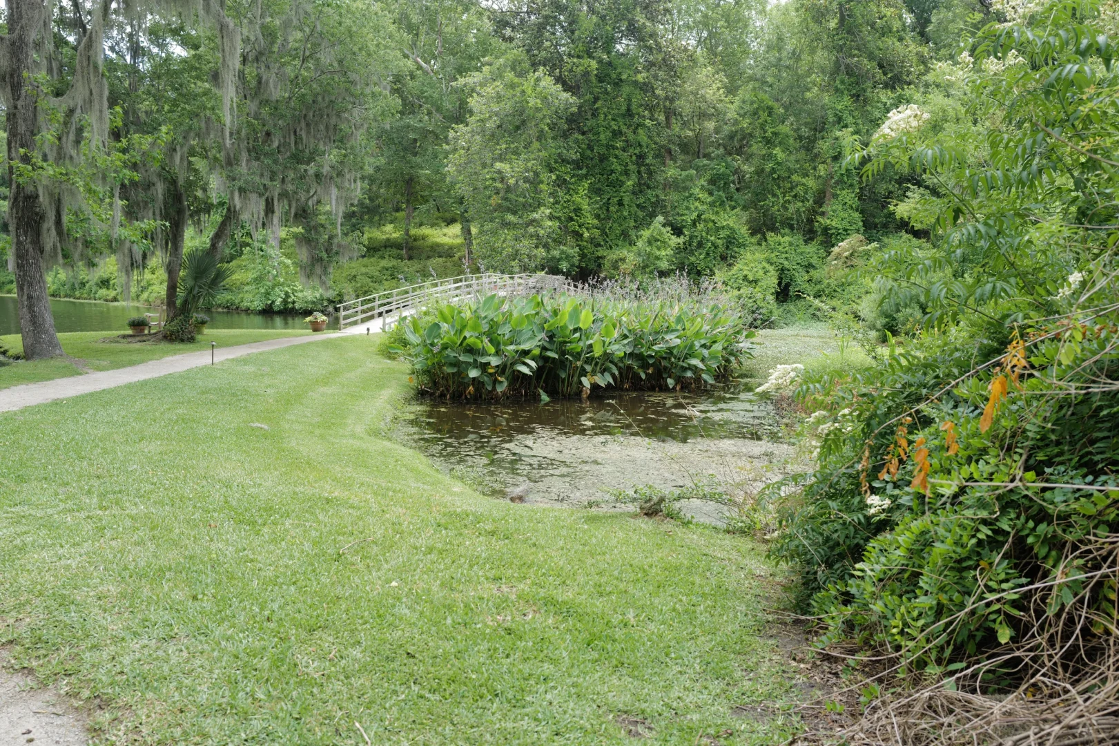 Three Days and Two Nights Travelogue in Charleston, South Carolina