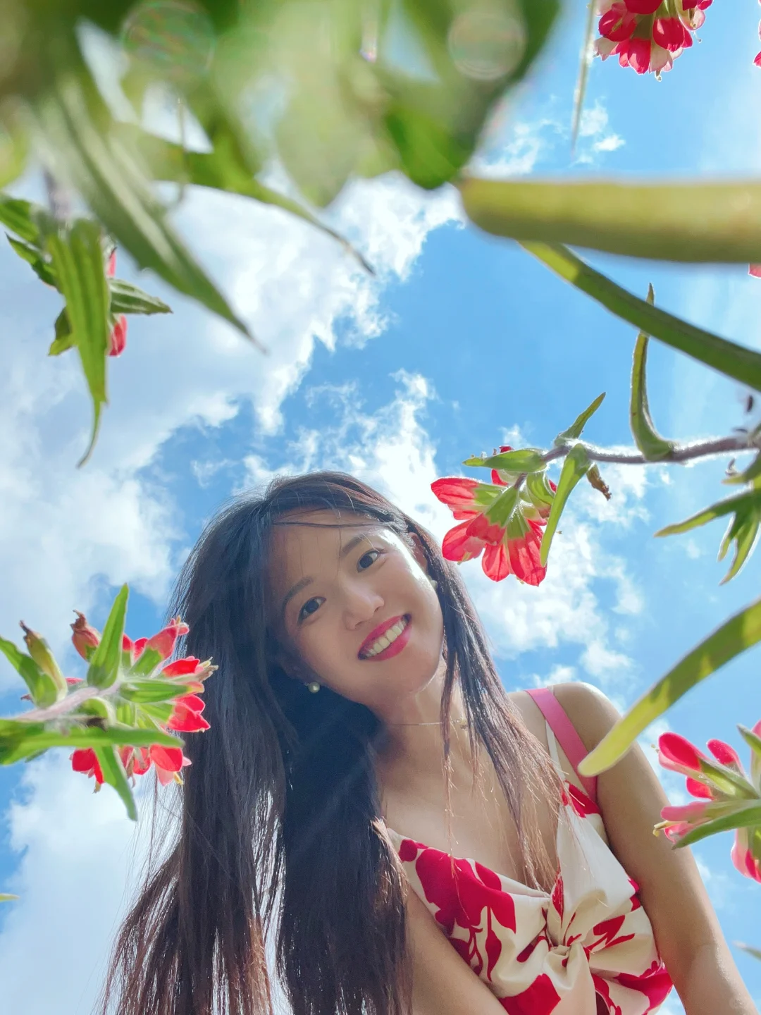 Another Year of Texas Wildflower Season