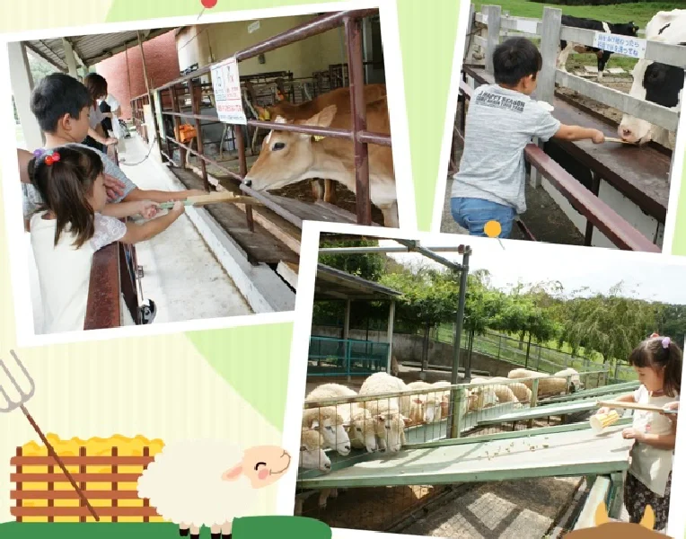 Yokohama Kodomo no Kuni - Perfect for Strolling with Kids of All Ages