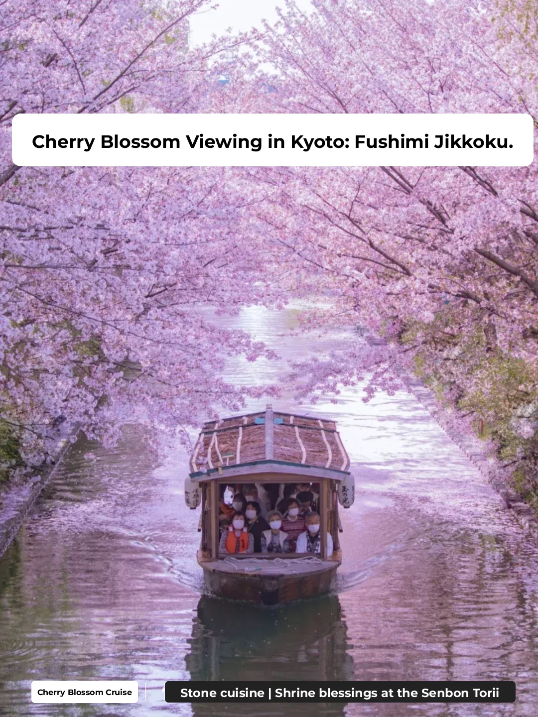 Kyoto Cherry Blossom Cruise 🌸 1-Day Private Boat Tour with Kaiseki Lunch, ~$100 per person