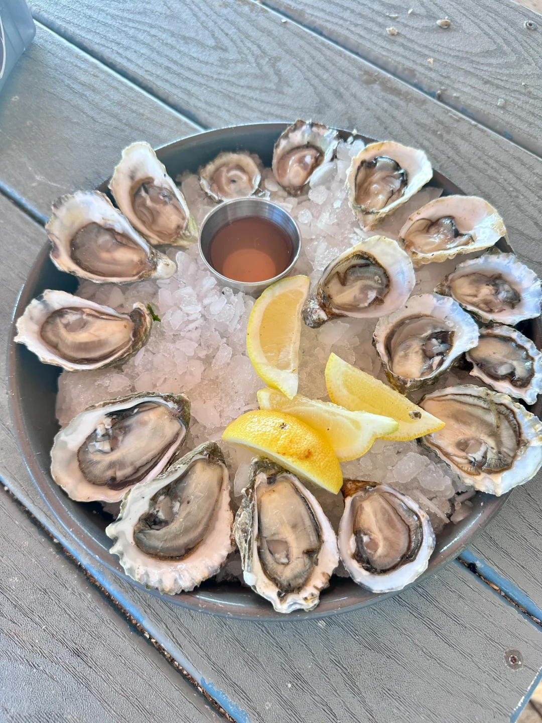 Seattle | Taylor Shellfish Farms Oyster Farm