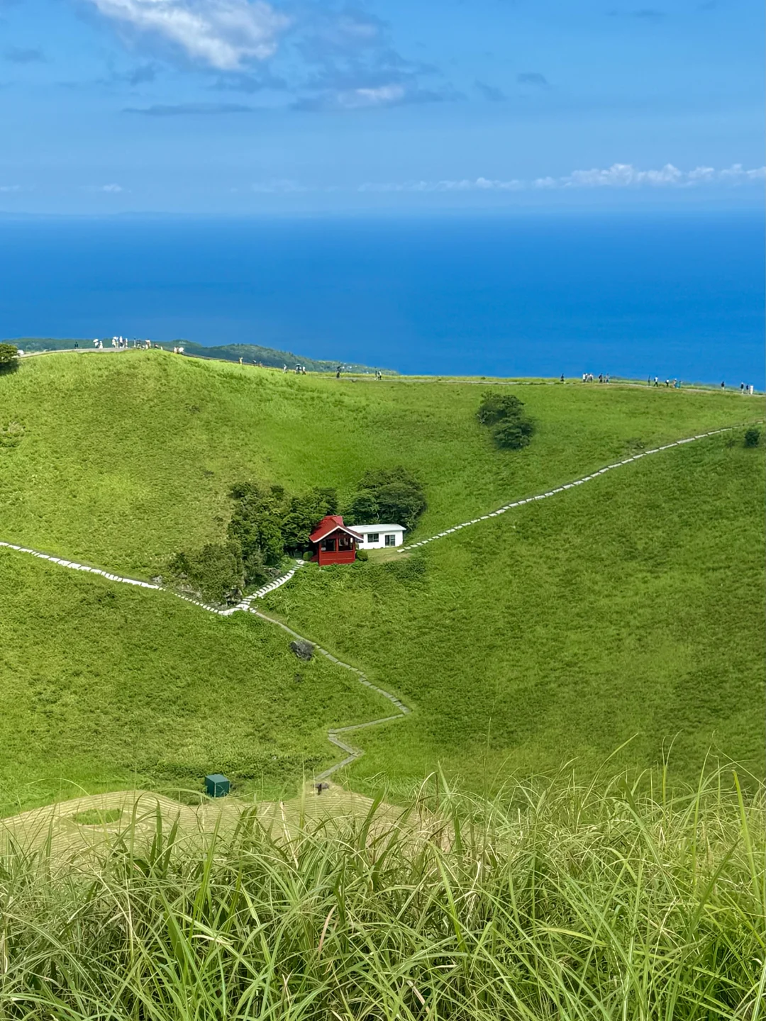 🇯🇵 Day Trip from Tokyo to Izu 🚩 Itinerary + Ultimate Guide ✅