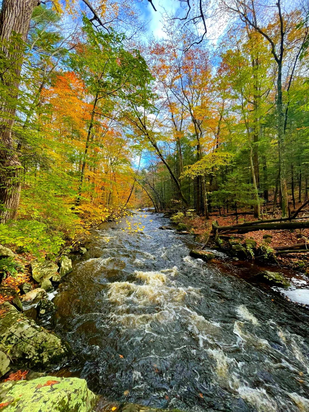 Hidden Gems Around NYC You Don't Want to Miss