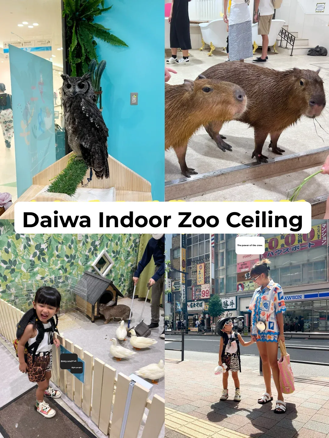 Tokyo with Kids | The Ultimate Indoor Zoo Experience at Odaiba
