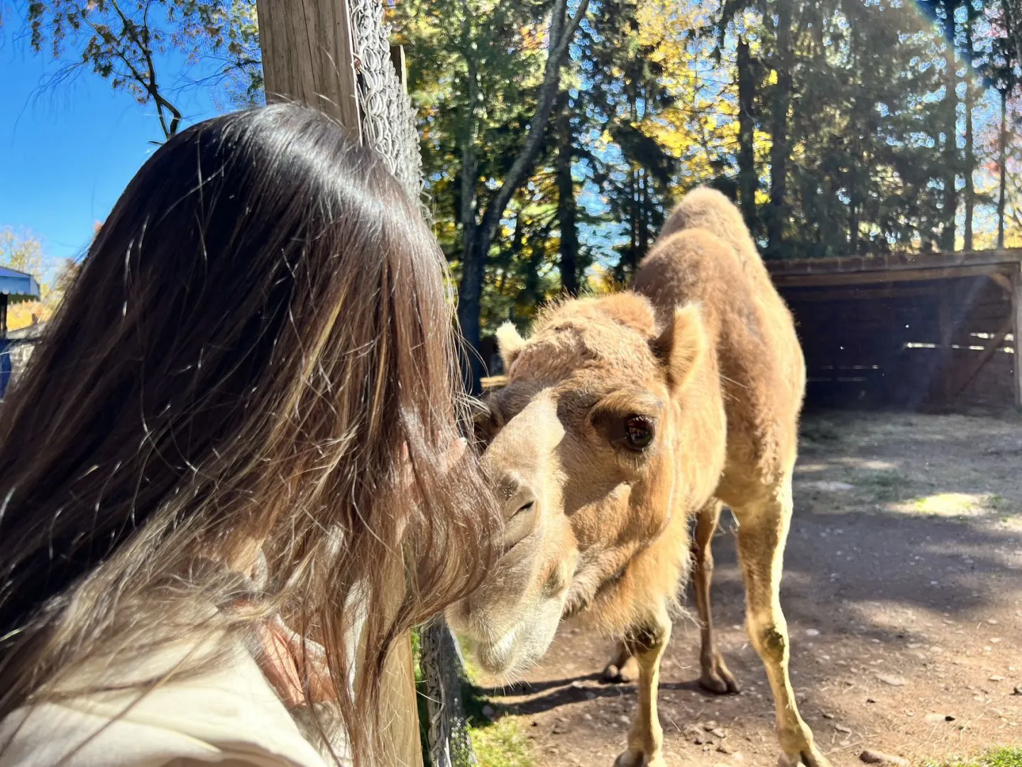 Looking for a buddy for a long weekend in NYC 🤩 No zero socializing allowed!