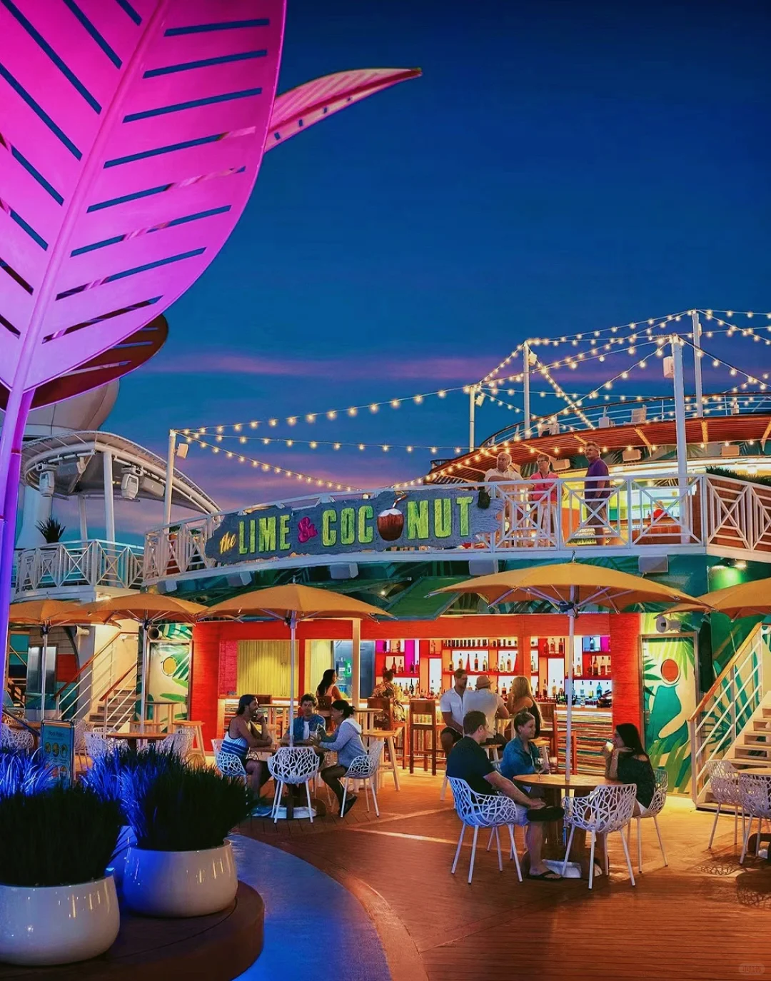 Royal Cruise Christmas 🎄 Kids Sail Free ❗️ Miss It, Miss Out for a Year