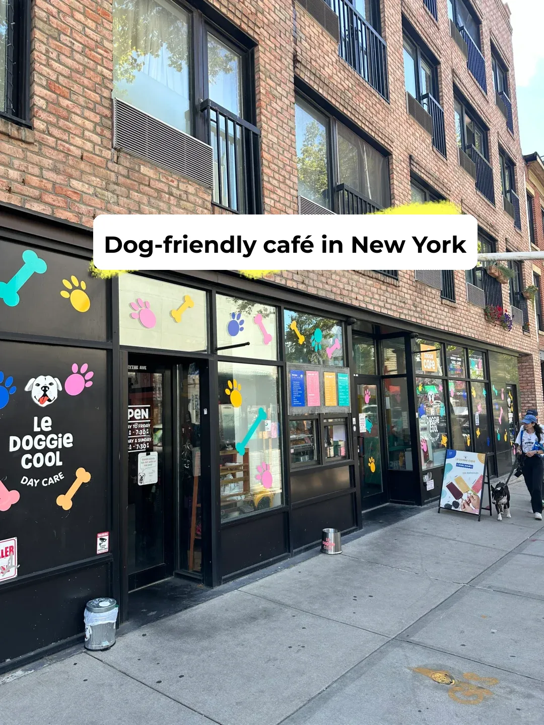 Puppy Playtime in NYC This Weekend