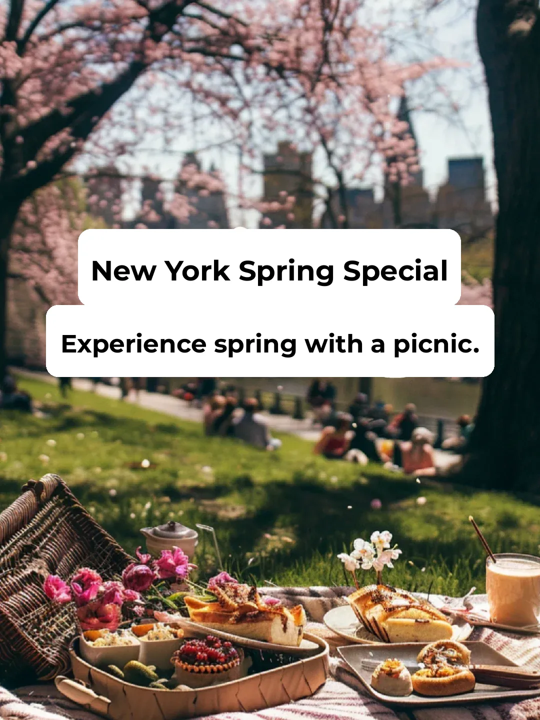 Spring in New York: Embrace the Season with a Picnic 🍃