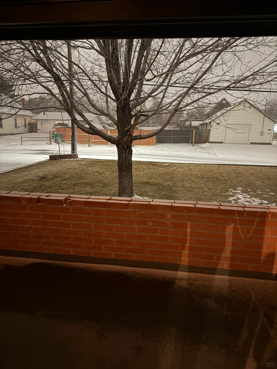 Denver Restaurants 2