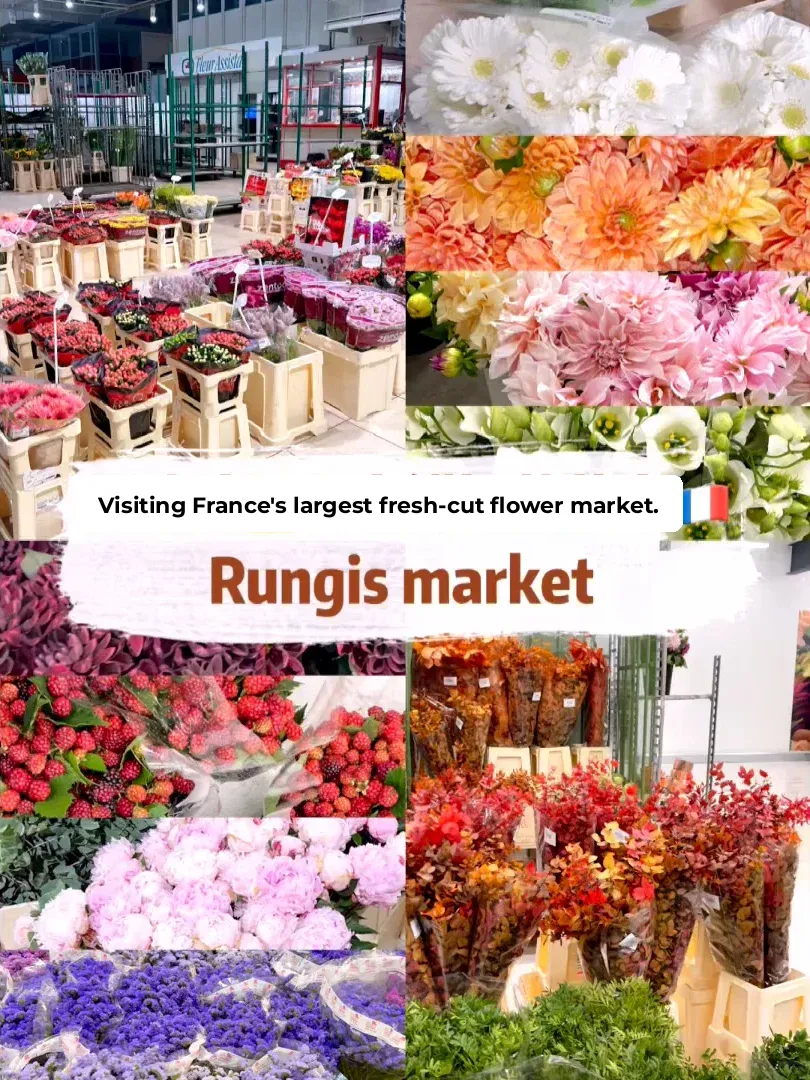 In Paris, how can you miss the biggest fresh-cut flower market? 🇫🇷