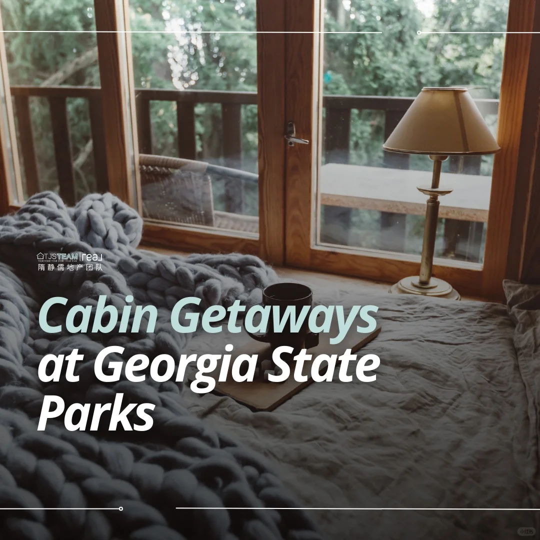 Georgia State Park Cabin Adventure