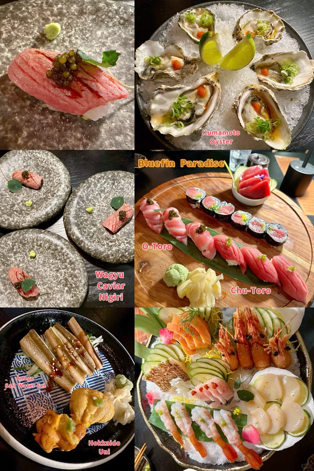 Philadelphia Japanese Cuisine | Takumi @Wayne