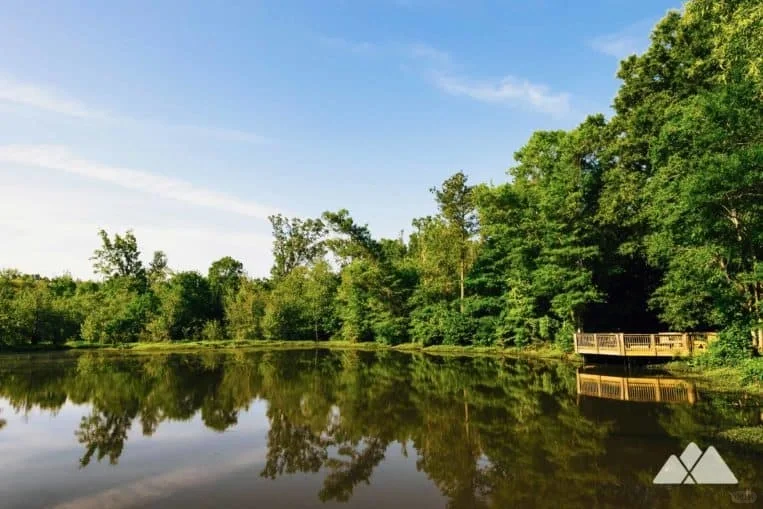 "20 Hidden Gems in Atlanta That Haven't Been Overrun by Tourists"