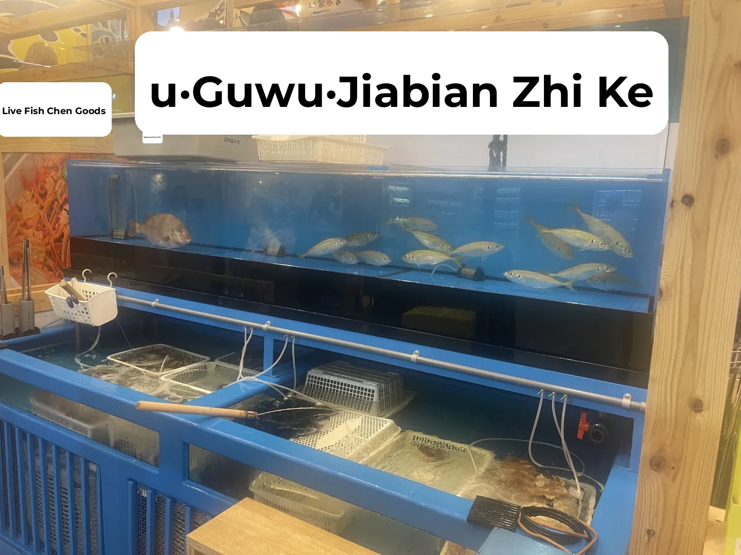 Osaka Eats: Iso Maru Seafood