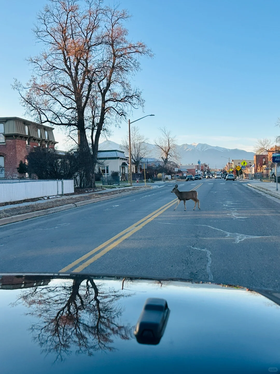 Colorado | Denver and Surrounding Areas