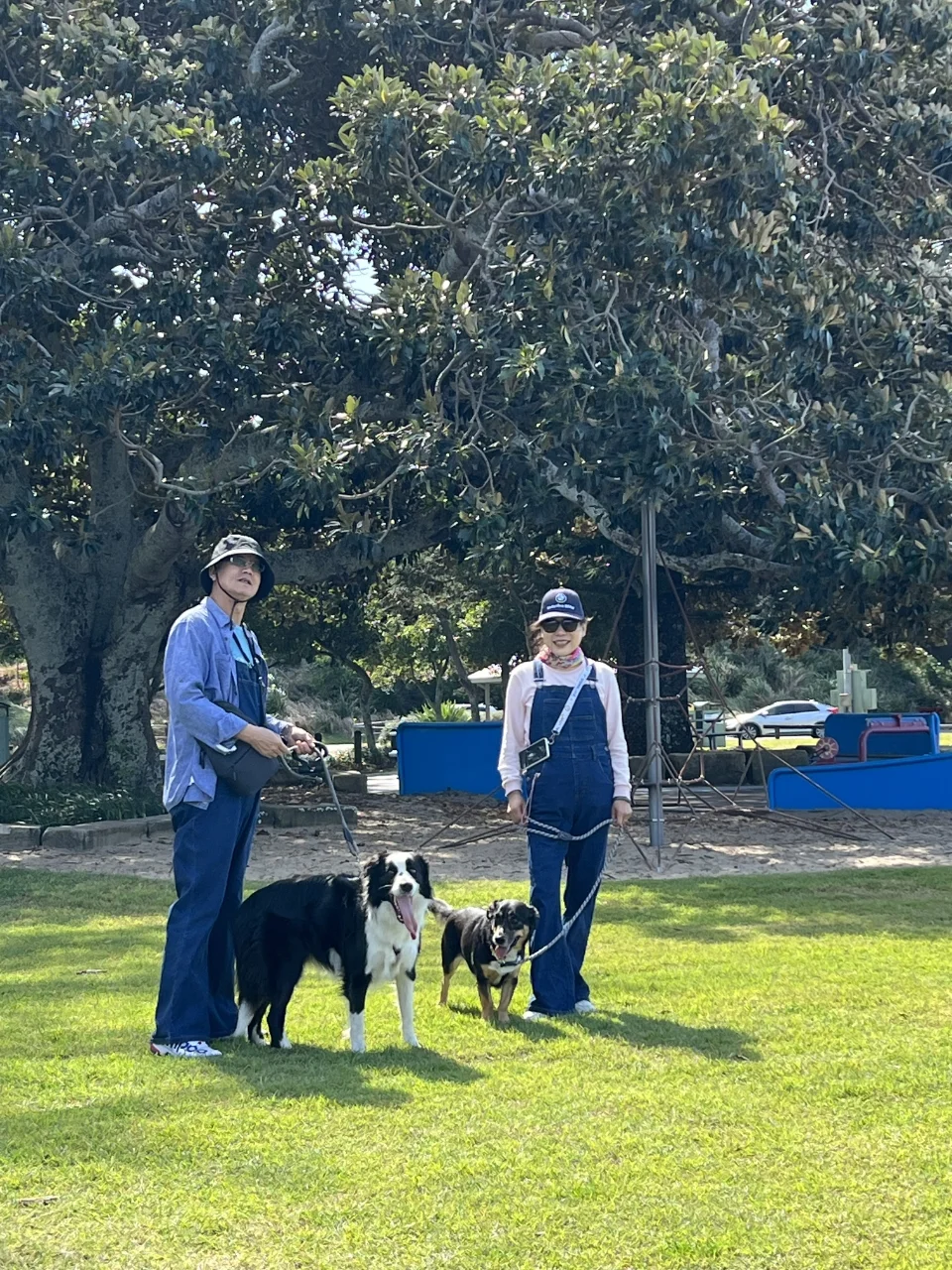 "Taking the Dog Out to Burn Off Some Extra Energy"