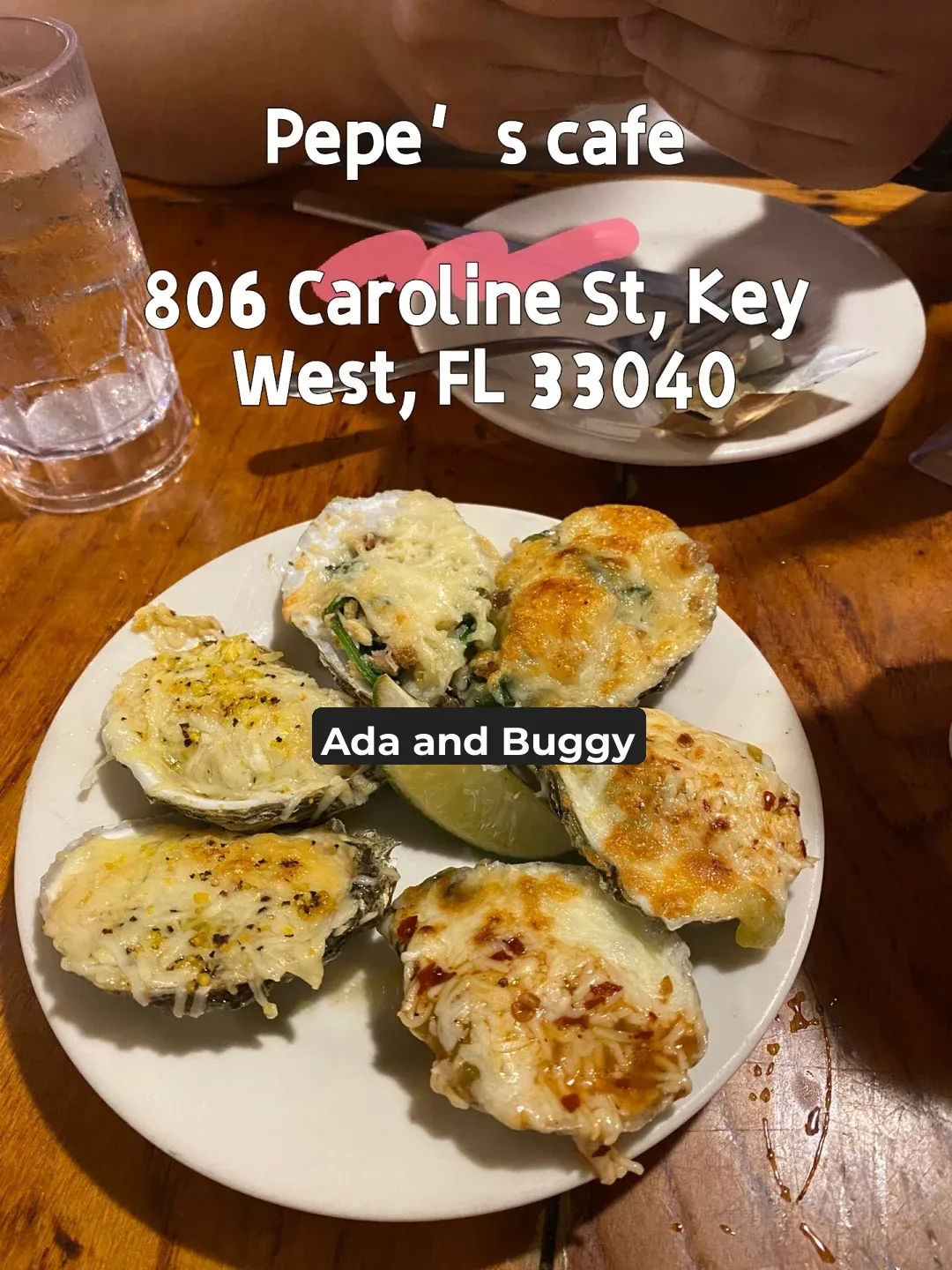 What’s Good to Eat in Key West, Florida (Dog-Friendly Options)