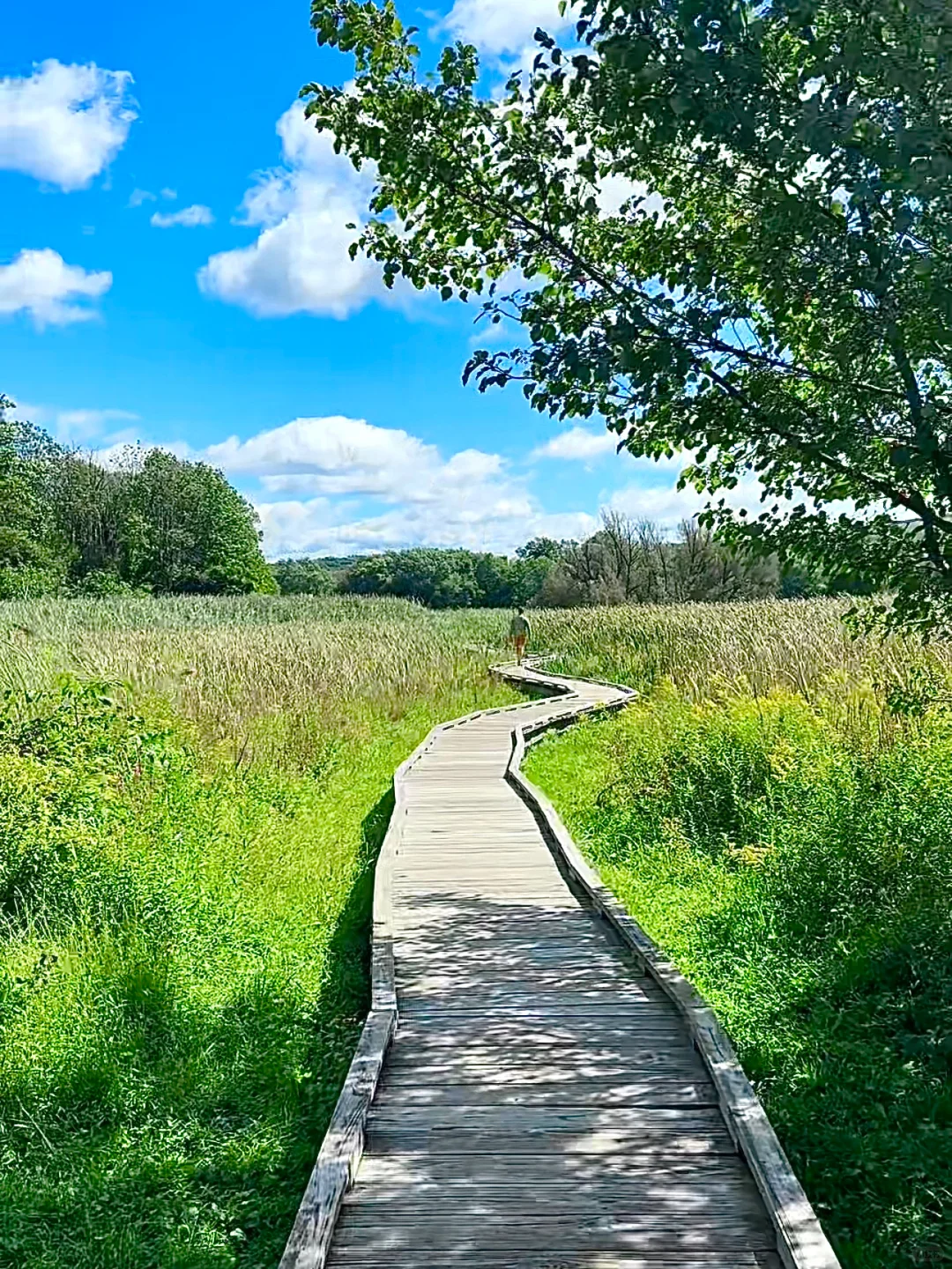 New Jersey's Stunning Hiking Trail: Stairway to Heaven