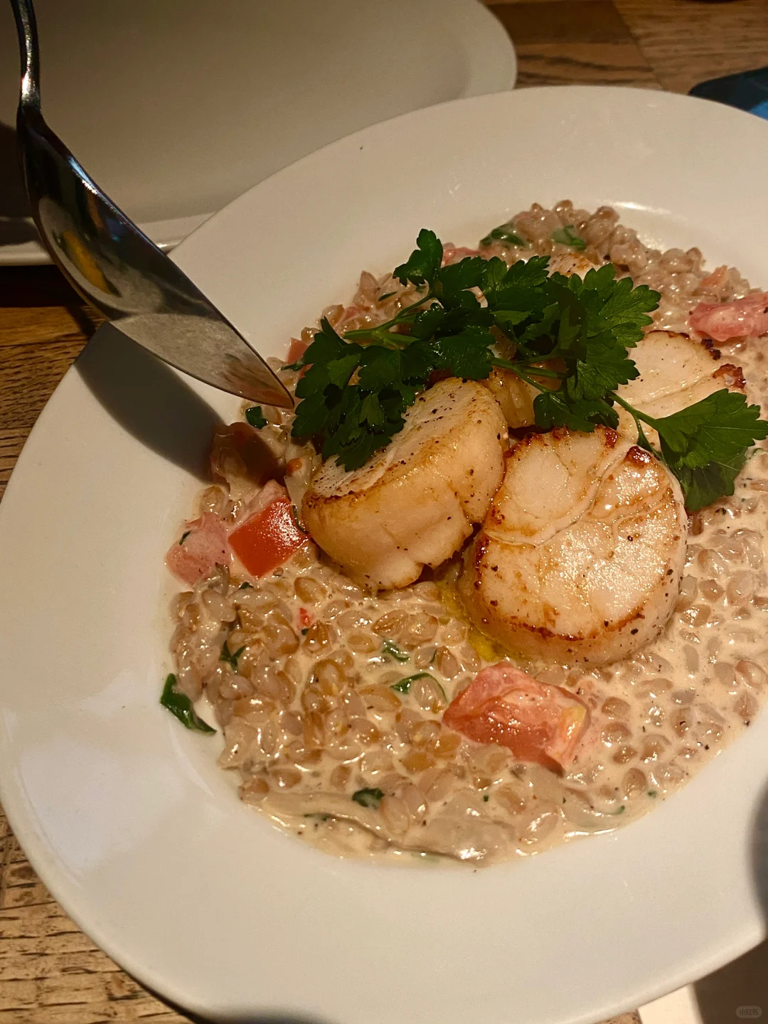 Foodie Chronicles (6)