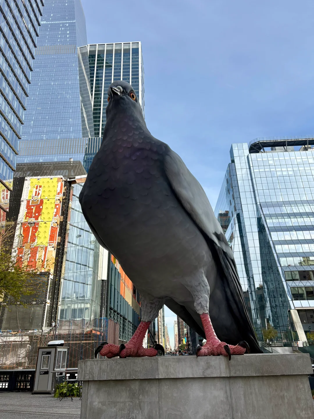 Looking for a Long-Term ClassPass Fitness Buddy in Lower Manhattan/Midtown NYC