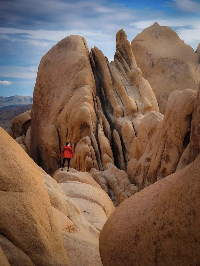 Joshua Tree Must-Visit Spots 🔥 All You Need to Know in One Post! ‼️