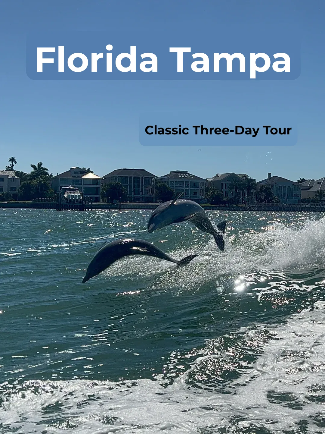 Tampa, Florida | Classic 3-Day Itinerary: Day 1️⃣