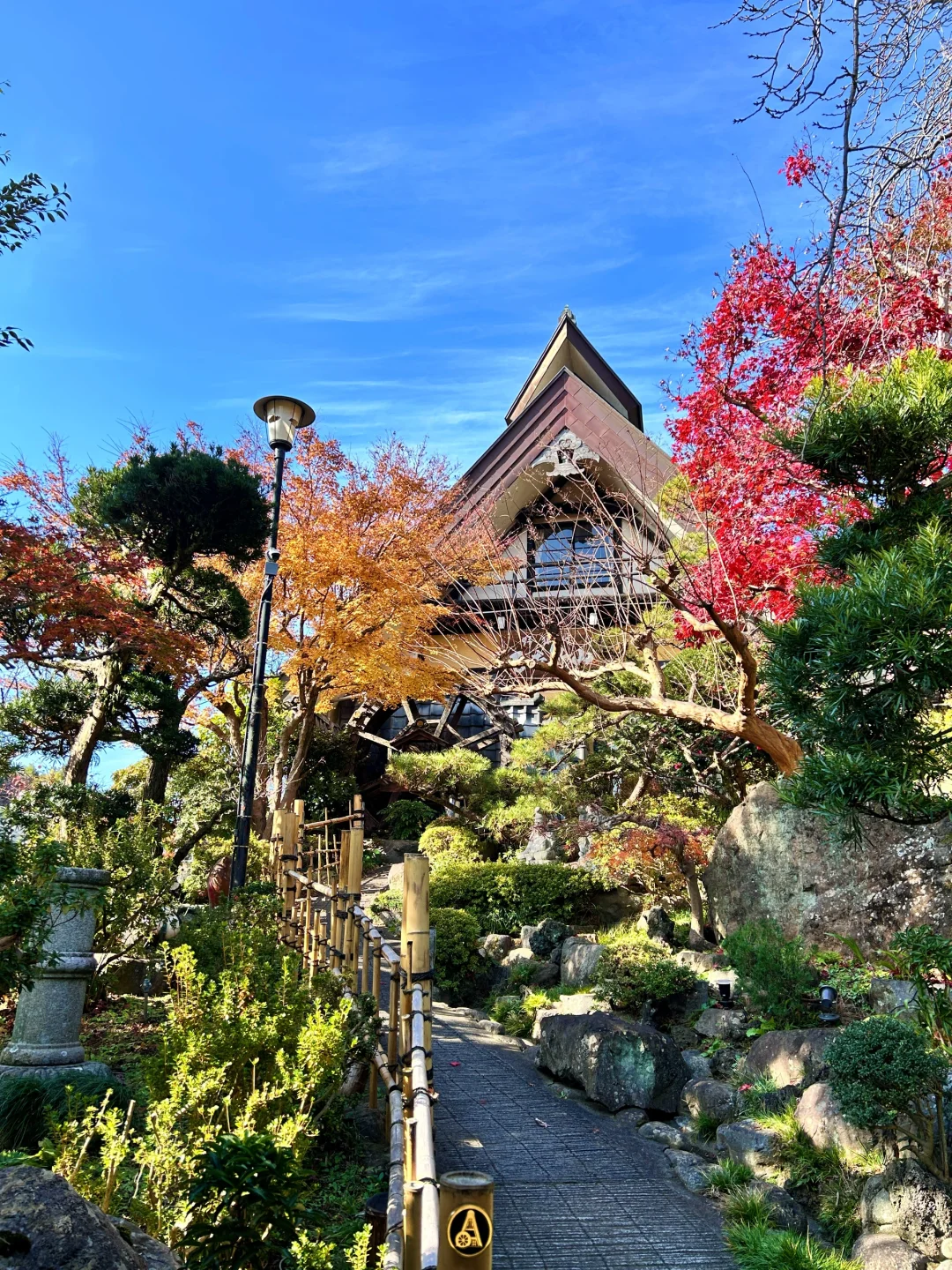 Hachioji · Flowing Banquet | Amazing Atmosphere and Delicious Food ❤️❤️